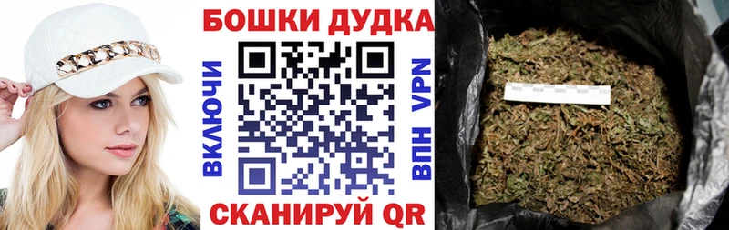 Купить наркотик Сенгилей mega зеркало  Кокаин  Мефедрон  Гашиш 