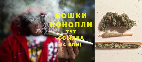 бошки Аркадак