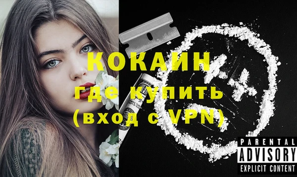 бошки Аркадак