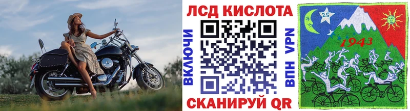 где купить наркоту  Сенгилей  Наркотические марки 1,5мг 