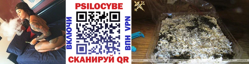 Галлюциногенные грибы прущие грибы  продажа наркотиков  Сенгилей 
