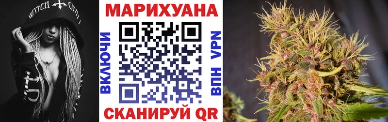 ссылка на мегу вход  Сенгилей  Бошки марихуана индика 